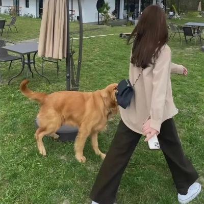 逃亡的女孩海报